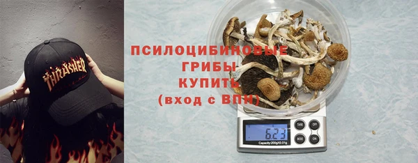 apvp Бородино