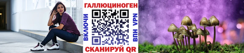 Галлюциногенные грибы Psilocybine cubensis Димитровград